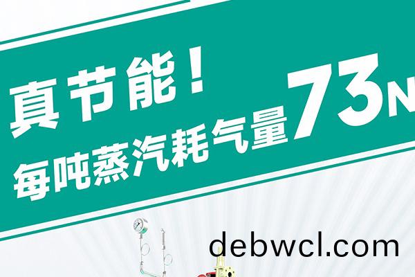 蒸(zheng)汽(qi)發(fā)(fa)生器源(yuan)頭(tou)廠(chang)家(jia)直(zhi)銷(xiāo)哪家靠譜(pu)？